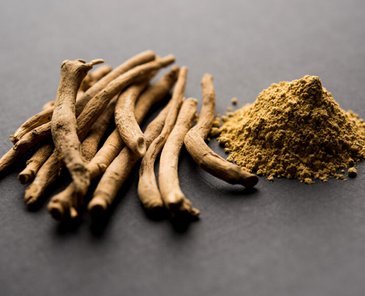 ashwagandah-cover